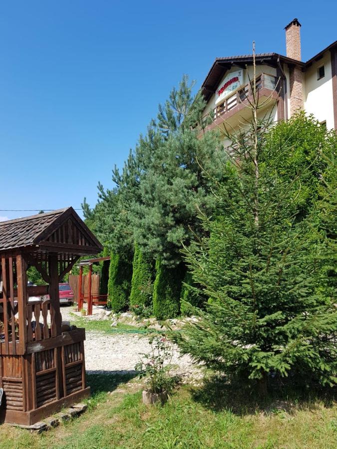 Hôtel Vila Colt De Rai à Rîşnov Extérieur photo