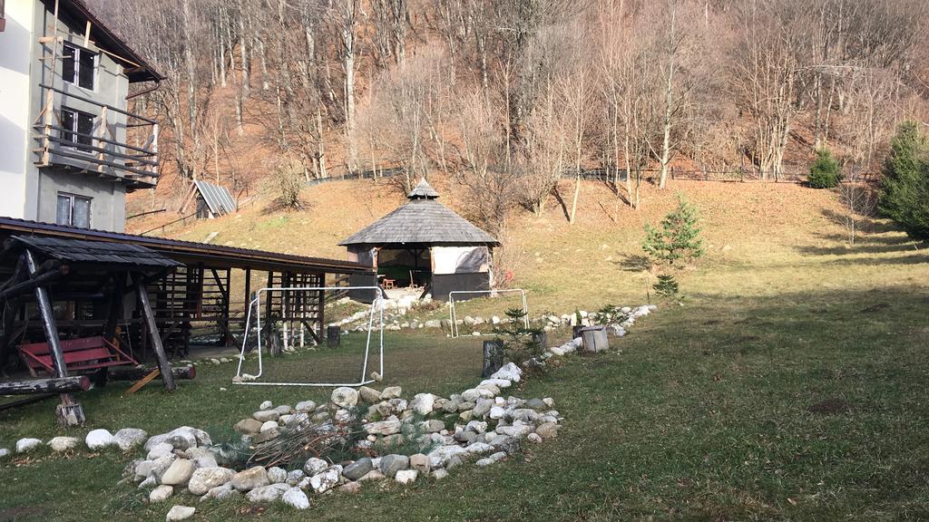 Hôtel Vila Colt De Rai à Rîşnov Extérieur photo